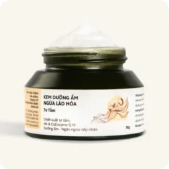 Silk Anti-Aging Moisturizing Cream – Intensive Hydration with Coenzyme Q10