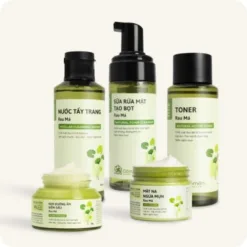 Centella Asiatica Extract Skincare Set for Oily, Acne-Prone Skin